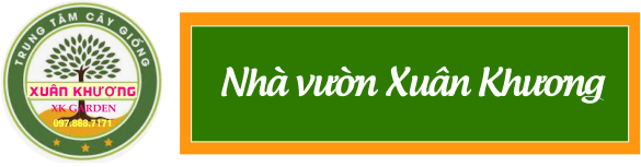 Nhà Vườn Xuân Khương