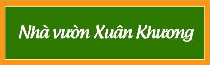 Nhà Vườn Xuân Khương