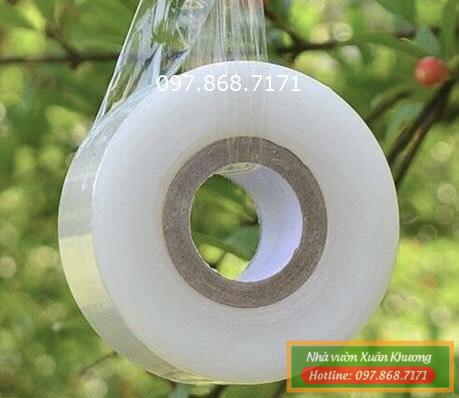 băng nilong ghép cây tự hủy (1)