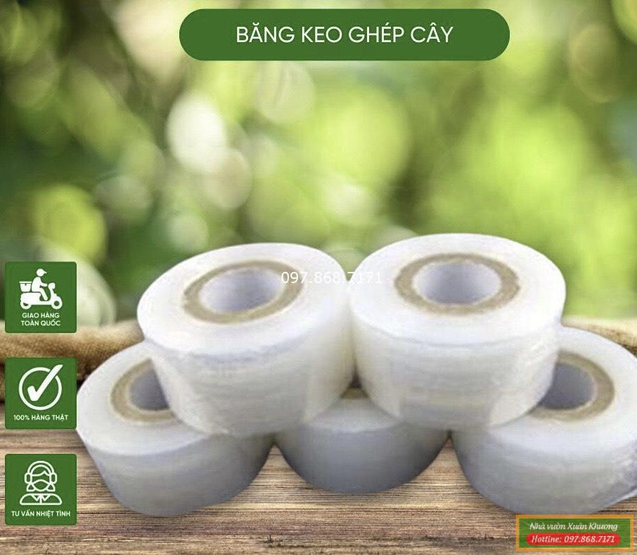 băng nilong ghép cây tự hủy (2)