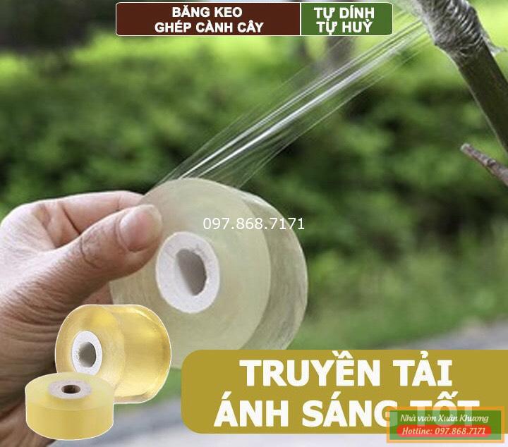 băng nilong ghép cây tự hủy (3)