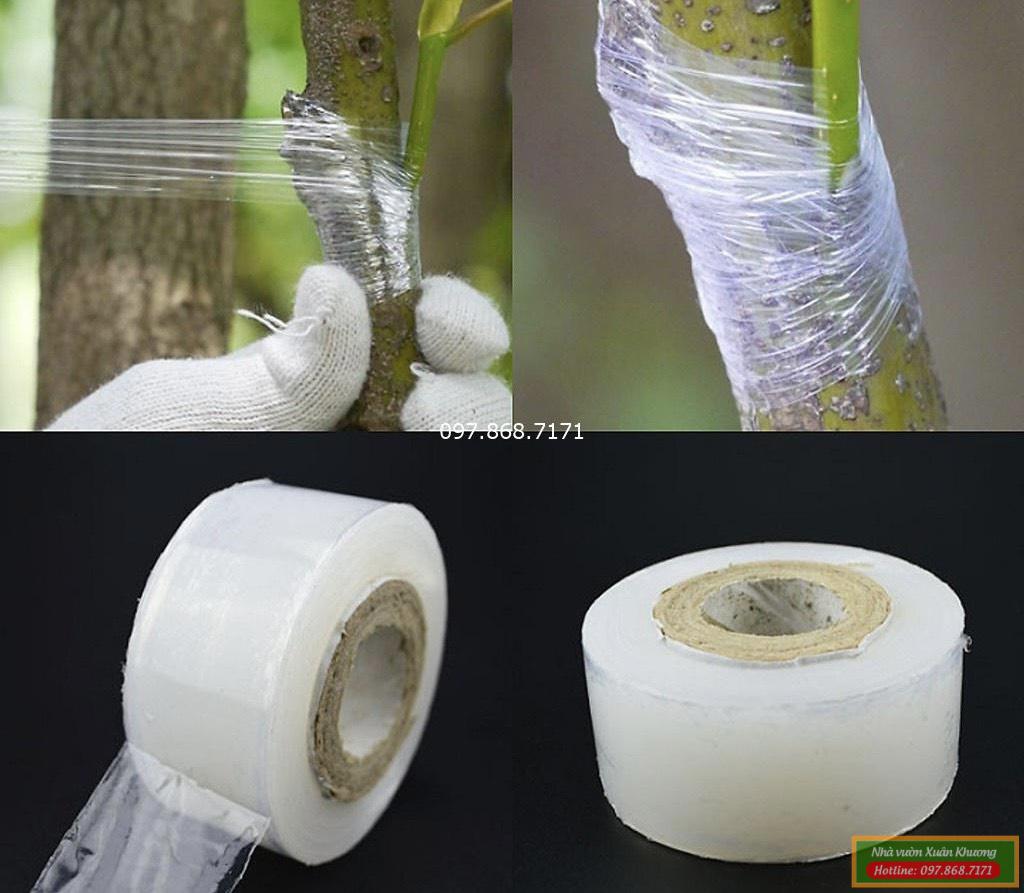 băng nilong ghép cây tự hủy (4)