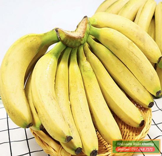 chuối già nam mỹ (3)