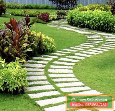 cỏ nhung nhật (1)