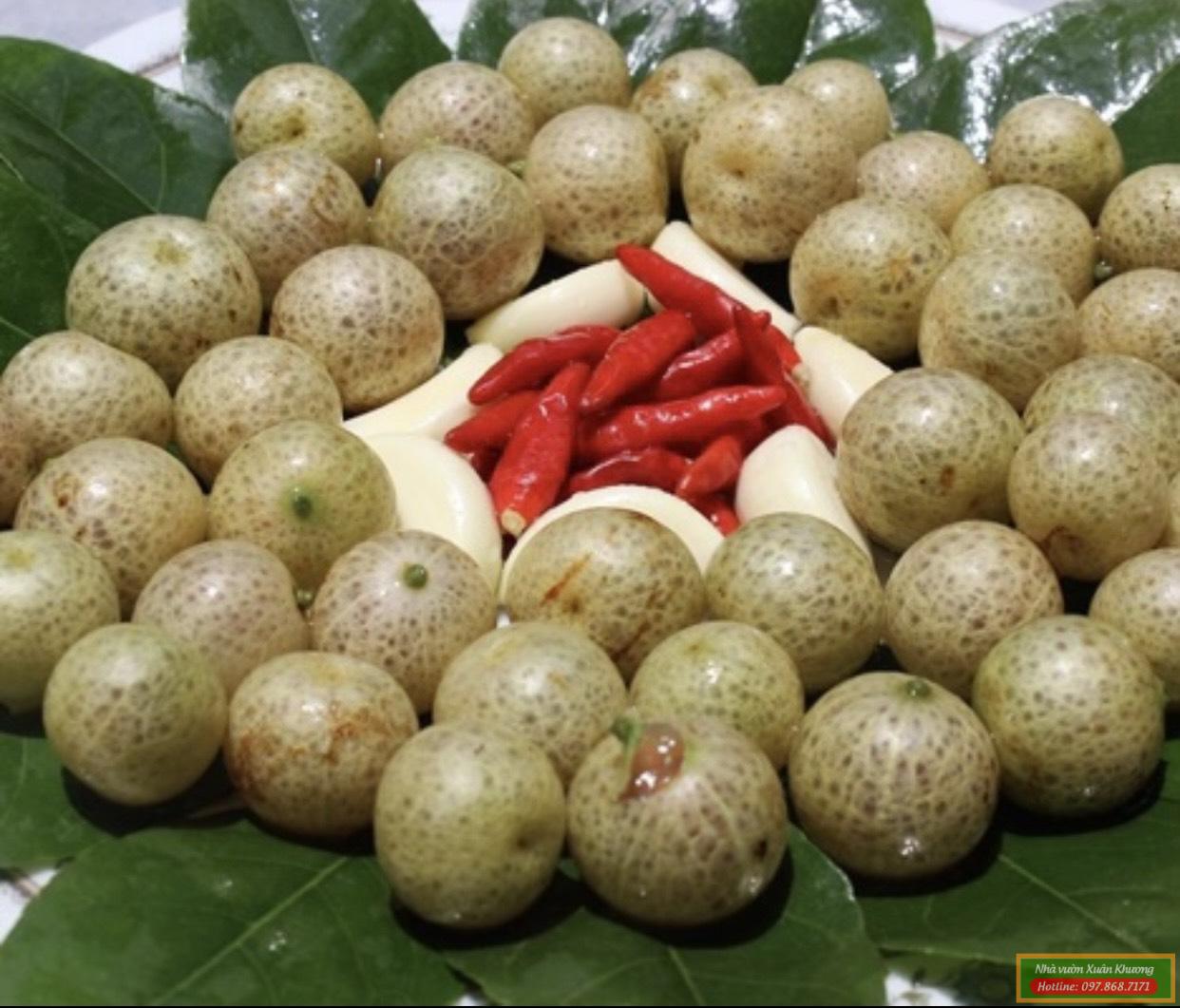 hạt cây mắc mật