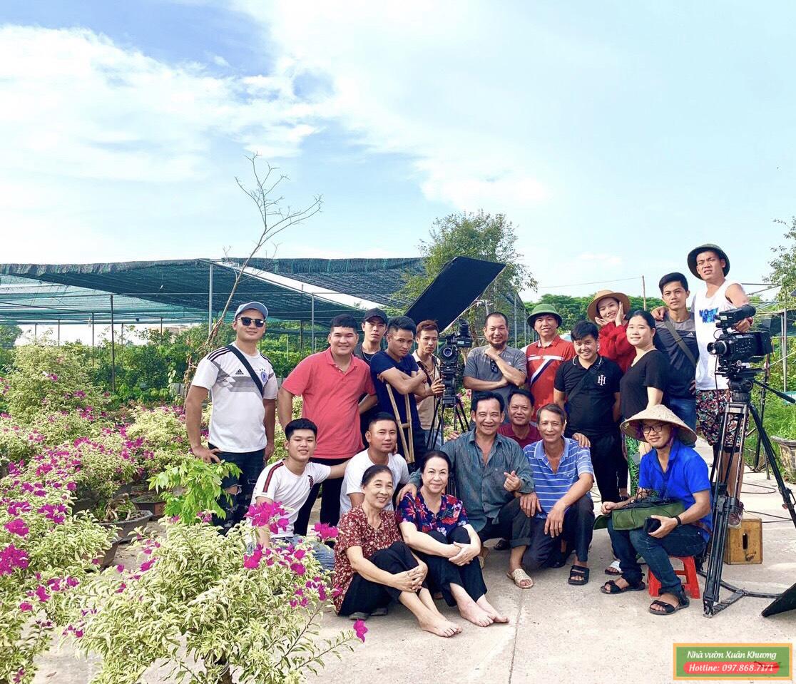 hoa giấy cẩm thạch (4)