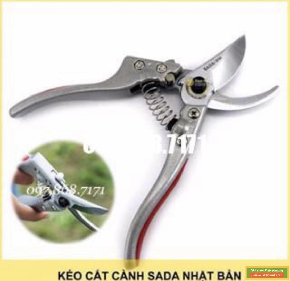 kéo cắt cây (2)