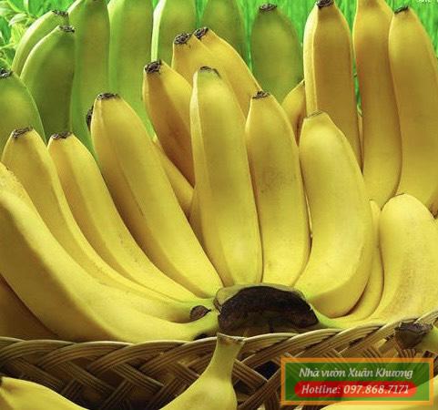 nải chuối tiêu hồng