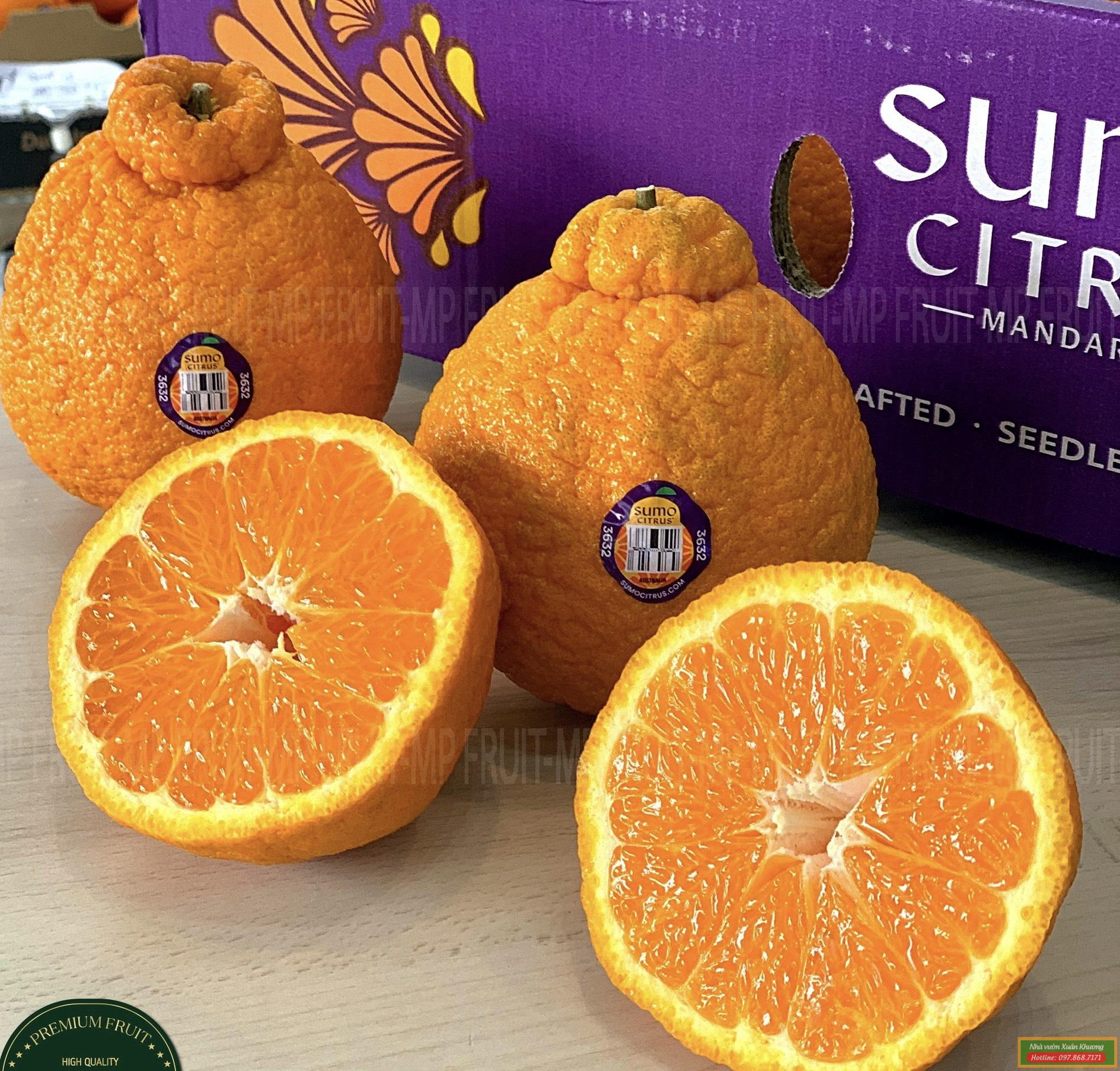 quả cam sumo nhật bản (2)