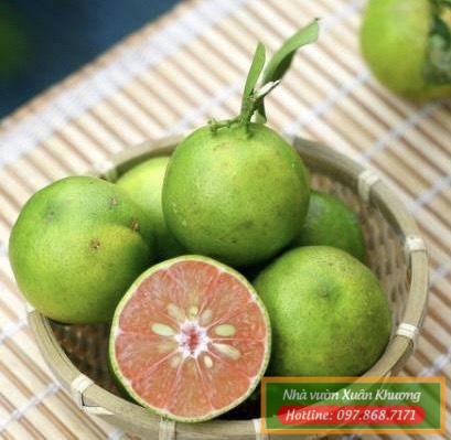 quả chanh đào (3)