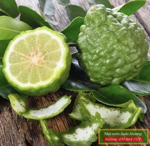 quả chanh thái lan (1)