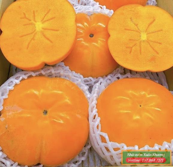 quả hồng giòn nhật bản (1)