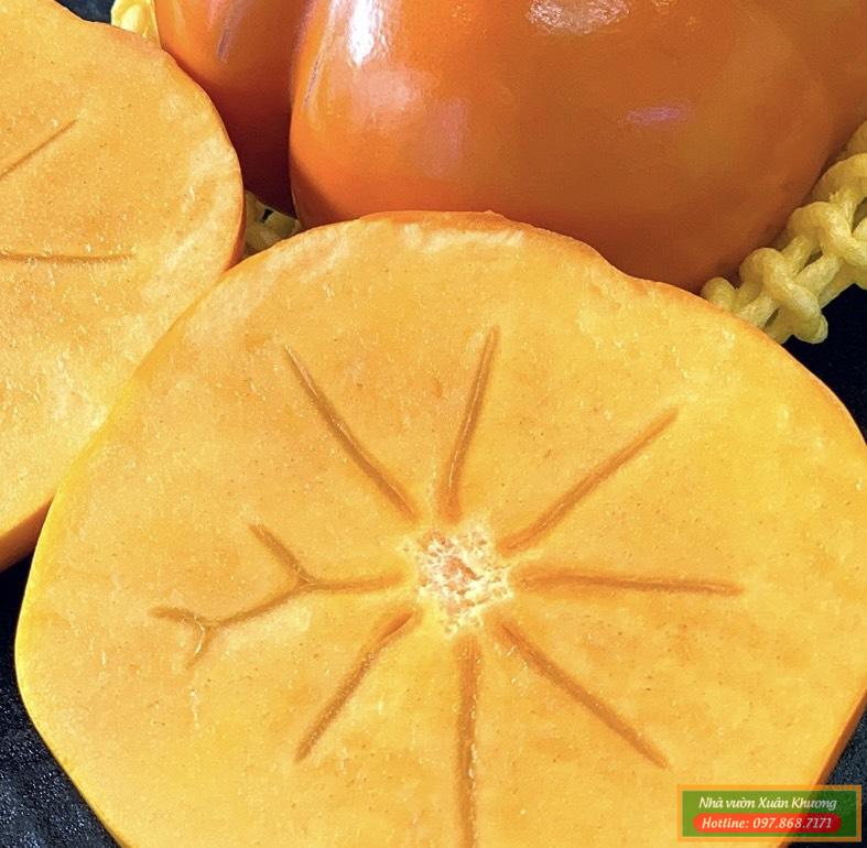 quả hồng giòn nhật bản (2)