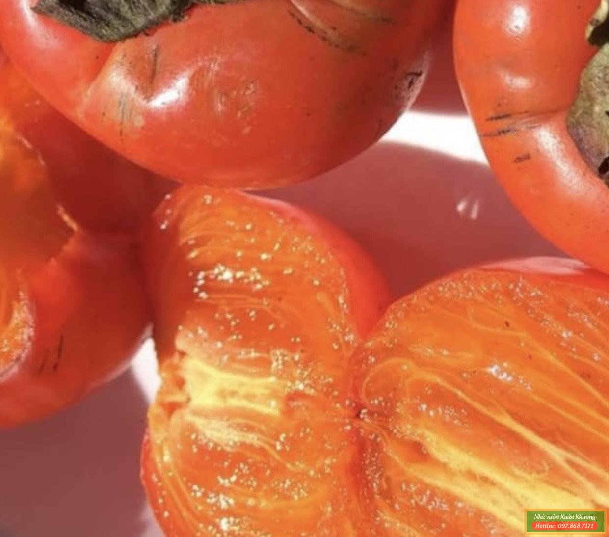 quả hồng nhân hậu (1)