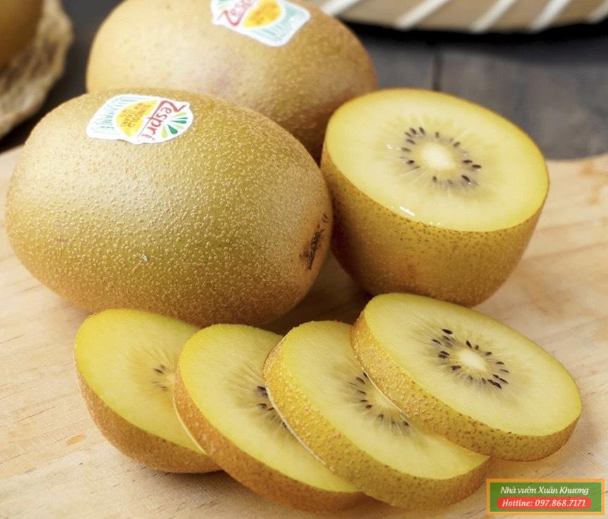 Hướng Dẫn Kỹ Thuật Trồng Cây Kiwi