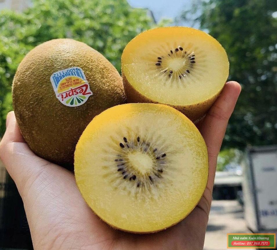 quả kiwi (2)