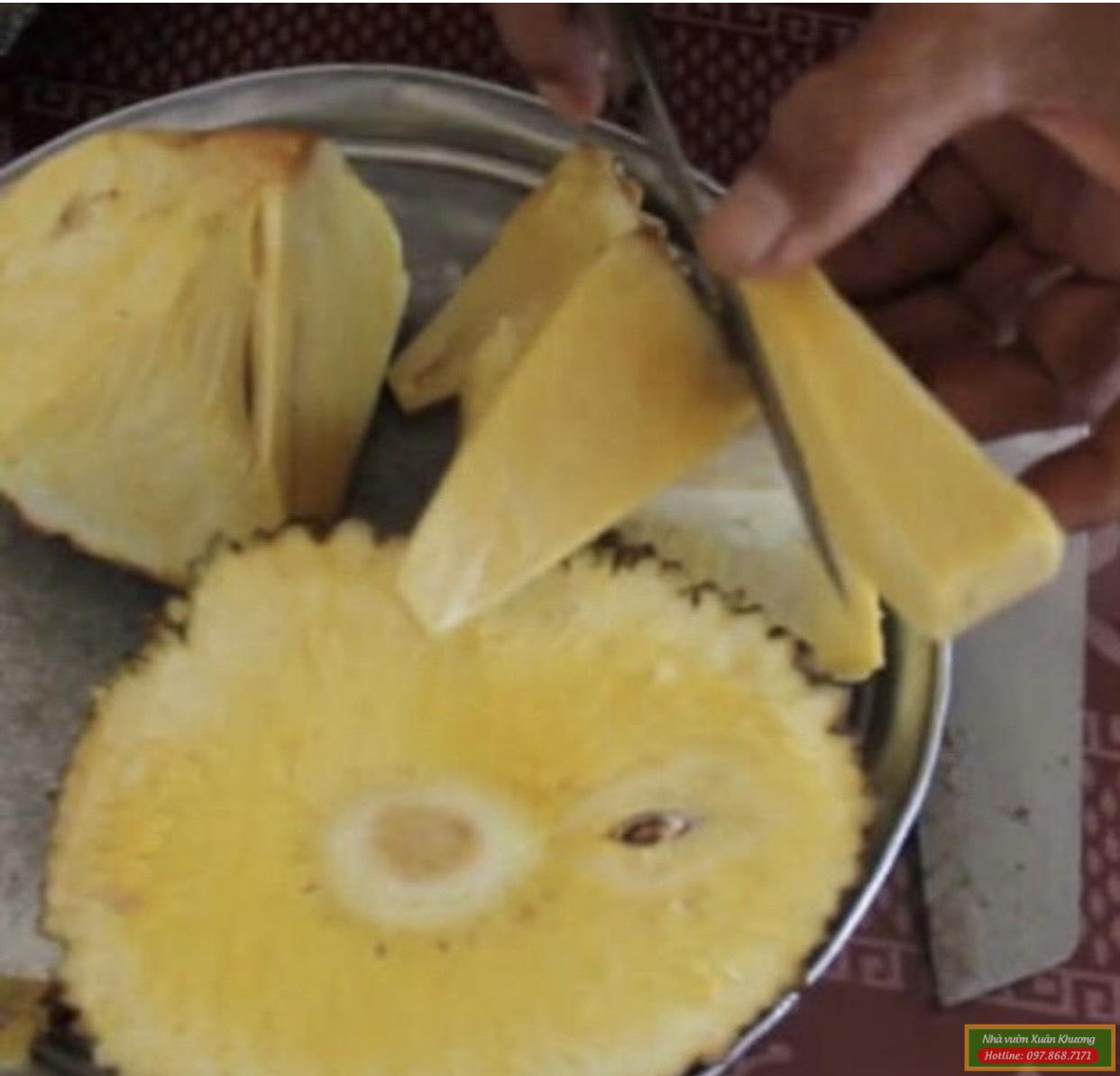 quả mít không hạt (1)