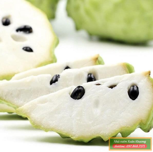 quả na dứa đài loan (3)