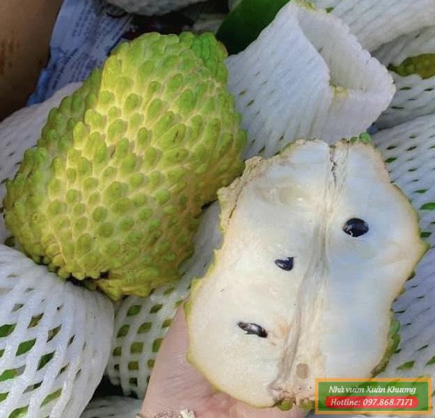 quả na sầu riêng (2)