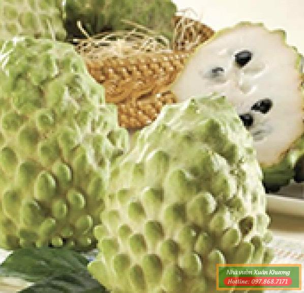 quả na sầu riêng (3)