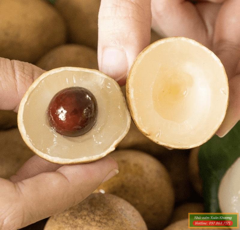 quả nhãn lồng hưng yên (2)