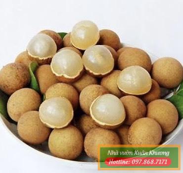 quả nhãn siêu ngọt (3)