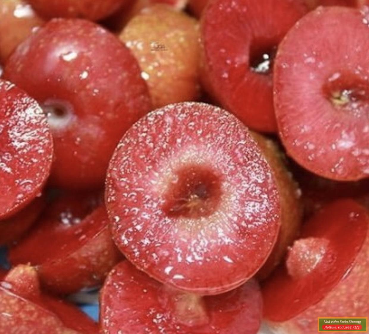 quả nhót ngọt (2)