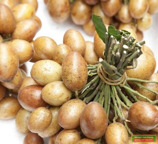 quả quất hồng bì (1)