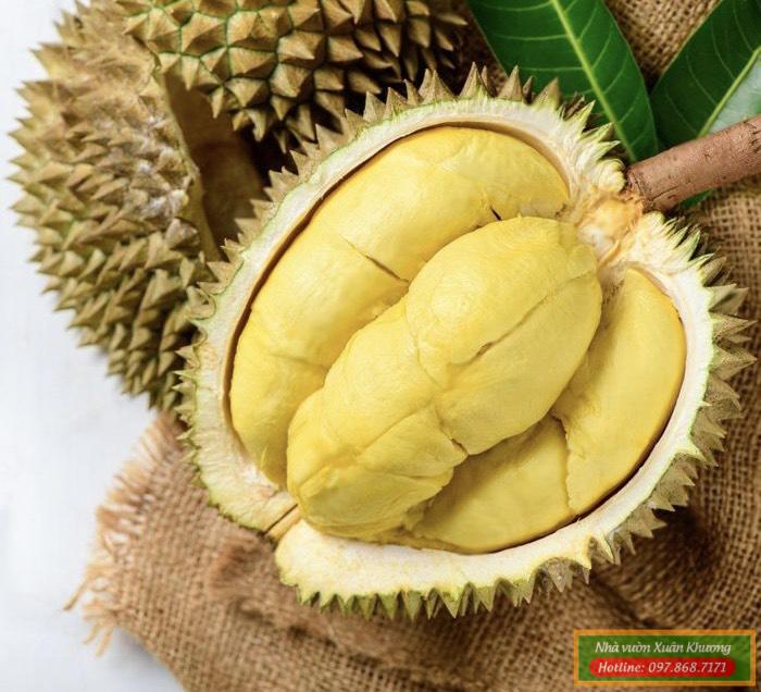 quả sầu riêng thái monthong (1)