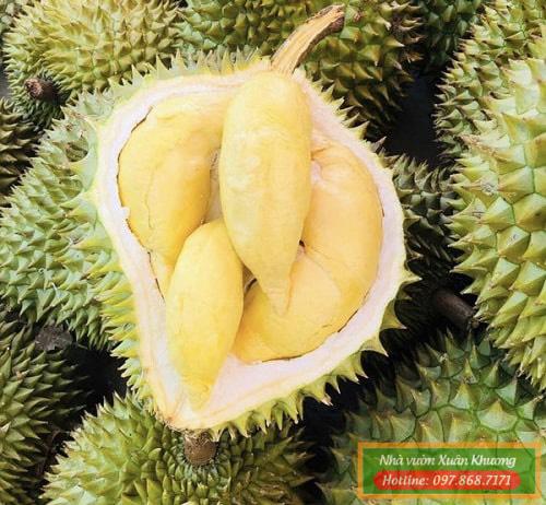 quả sầu riêng thái monthong (2)