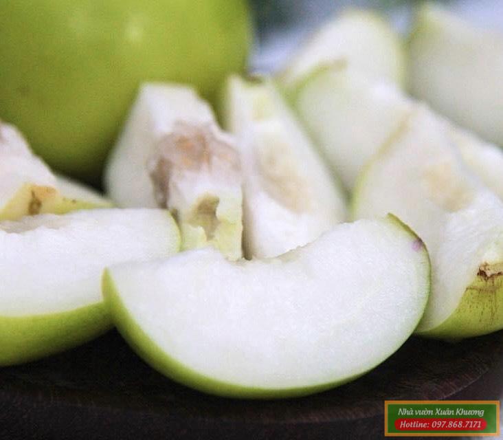 quả táo đài loan (2)