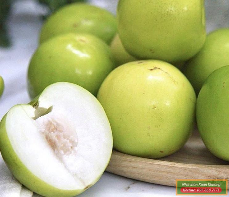 quả táo ngọt d28 (2)