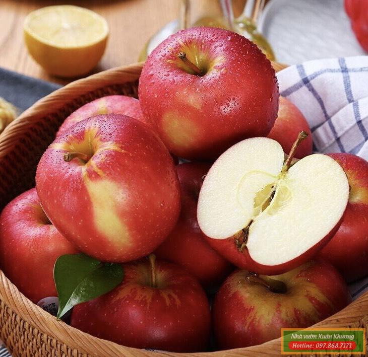quả táo tây đỏ