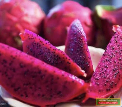 quả thanh long đỏ (2)