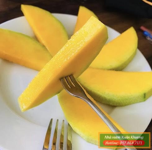 quả xoài đài loan (3)