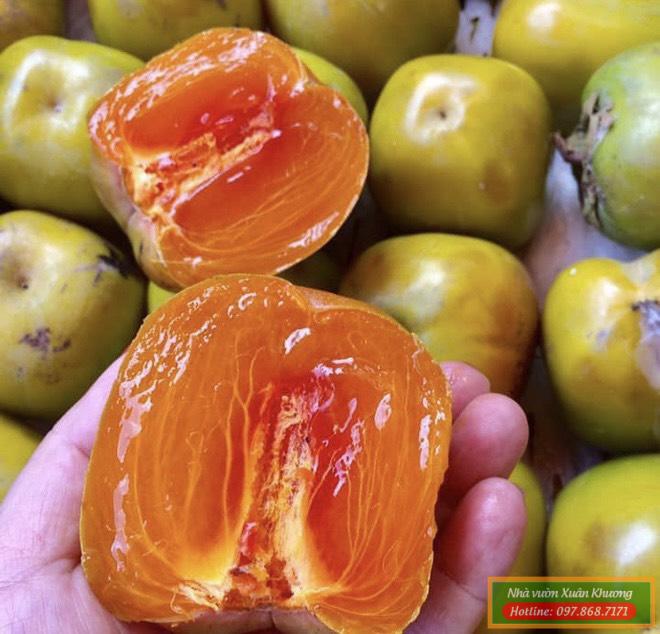 thưởng thức trái hồng da tre (1)