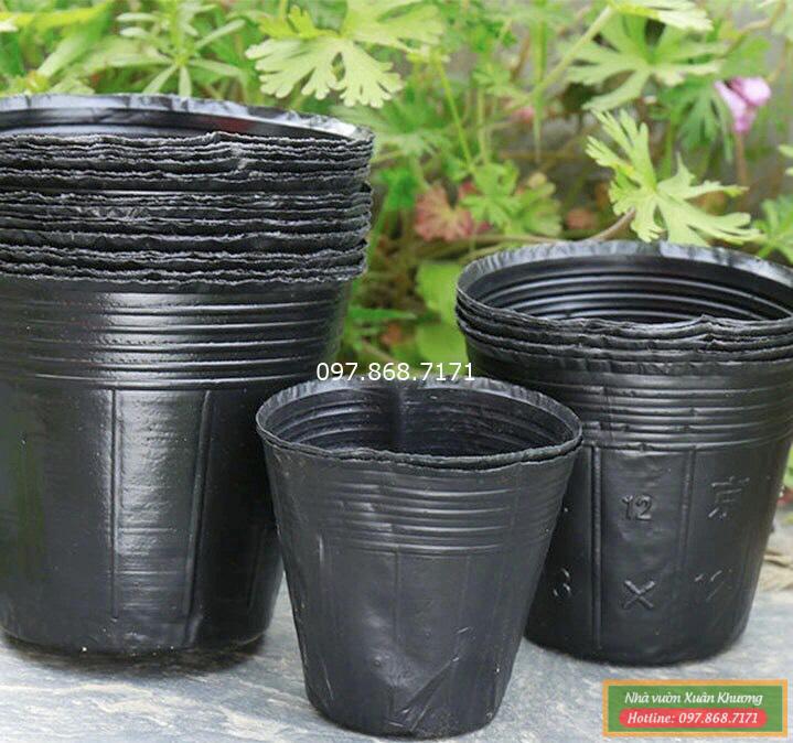 túi bát đóng bầu (3)