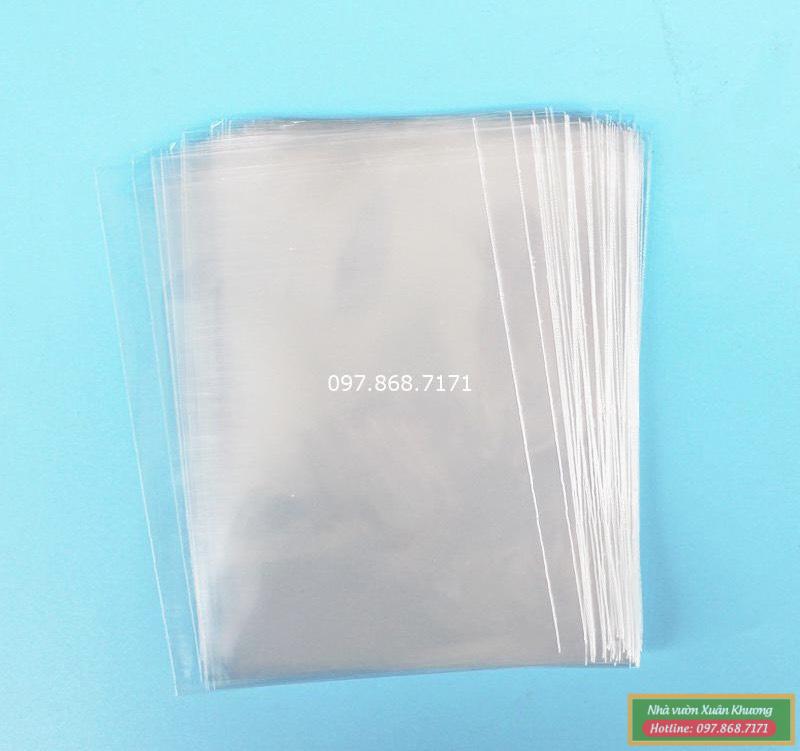 túi bầu nilong trắng (1)