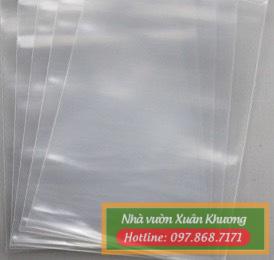 túi bầu nilong trắng (2)