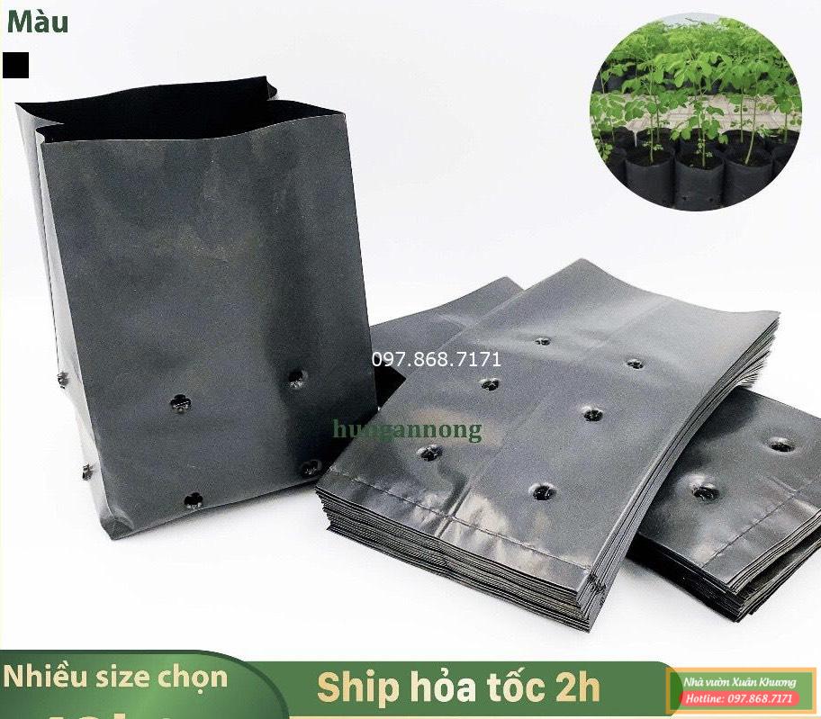túi đóng bầu ươm cây (1)