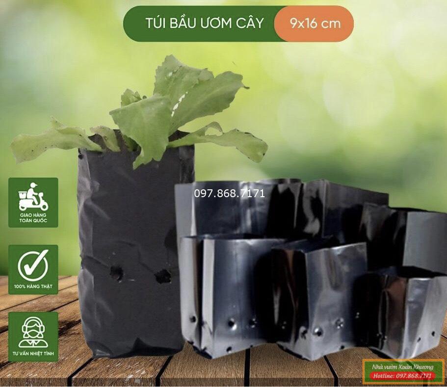 túi đóng bầu ươm cây (3)